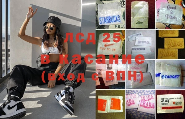 индика Арсеньев