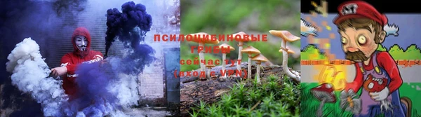 гидра Алексеевка