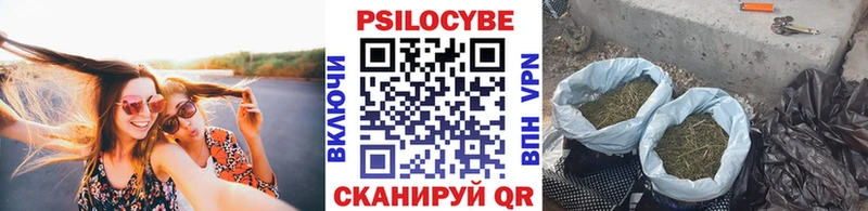Купить где  Владивосток  Псилоцибиновые грибы мицелий 